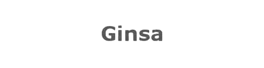 GINSA