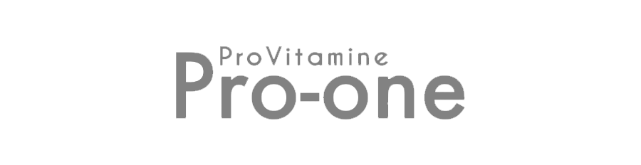 PRO-ONE